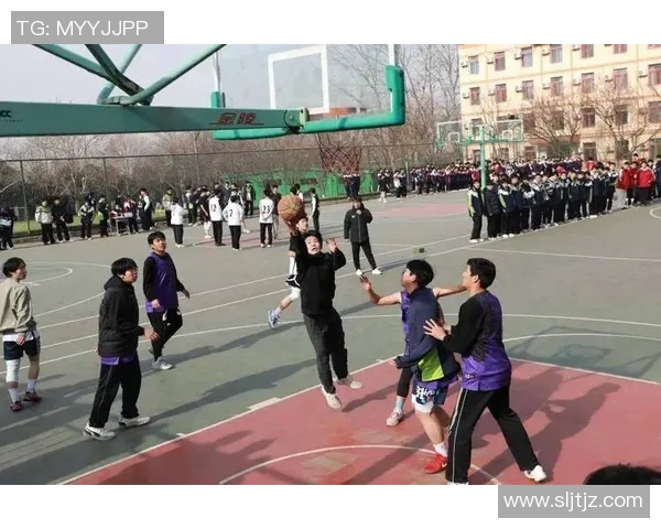 太仓启明星篮球：点燃青春激情，助力梦想成真，携手共创辉煌未来
